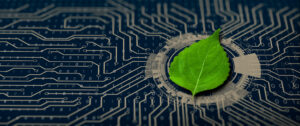 Sustainable AI: A Competitive Advantage or a Compliance Burden?